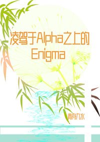 凌駕於Alpha之上的Enigma